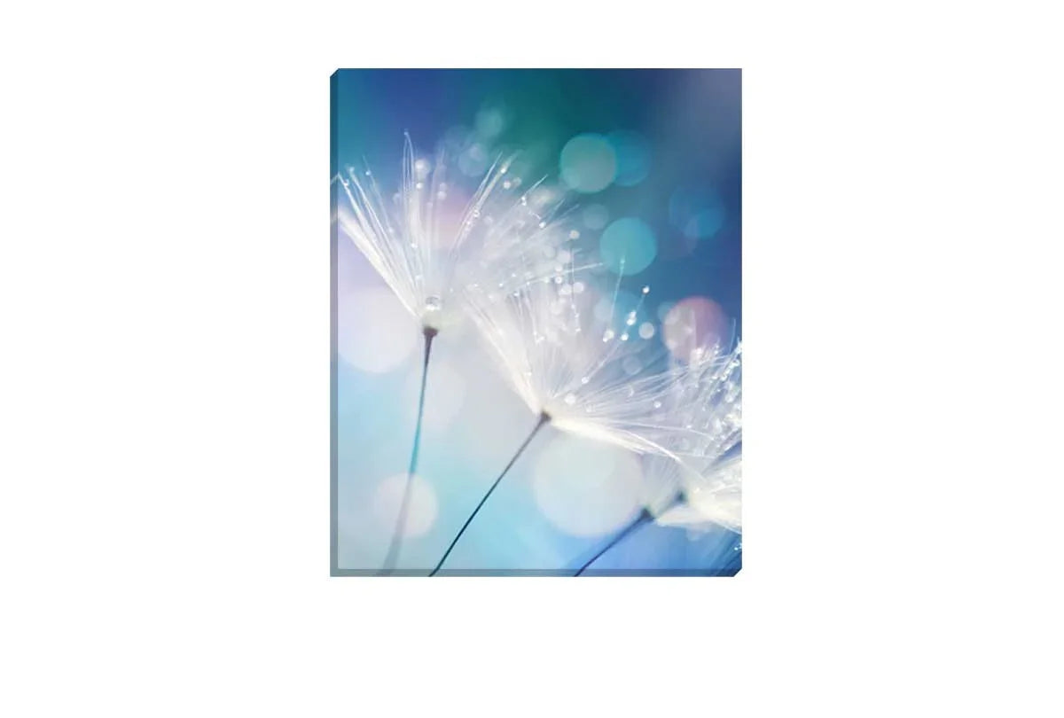 Dandelion Macro | Canvas Wall Art Print - Final Touch Decor