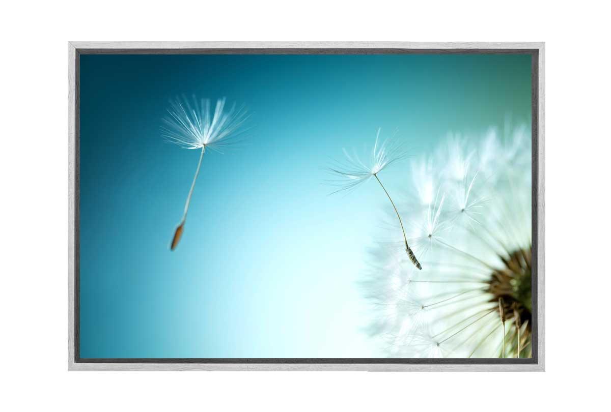 A Wish or a Weed? | Canvas Wall Art Print - Final Touch Decor