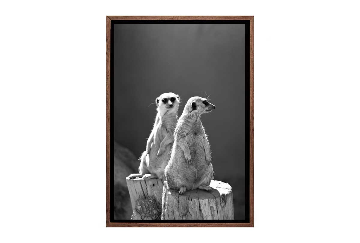 Meerkats Black and White | Canvas Wall Art Print - Final Touch Decor