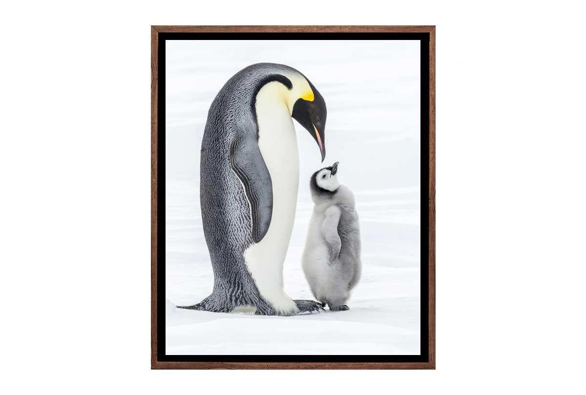 Penguin With Chick Watercolour | Canvas Wall Art Print - Final Touch Decor