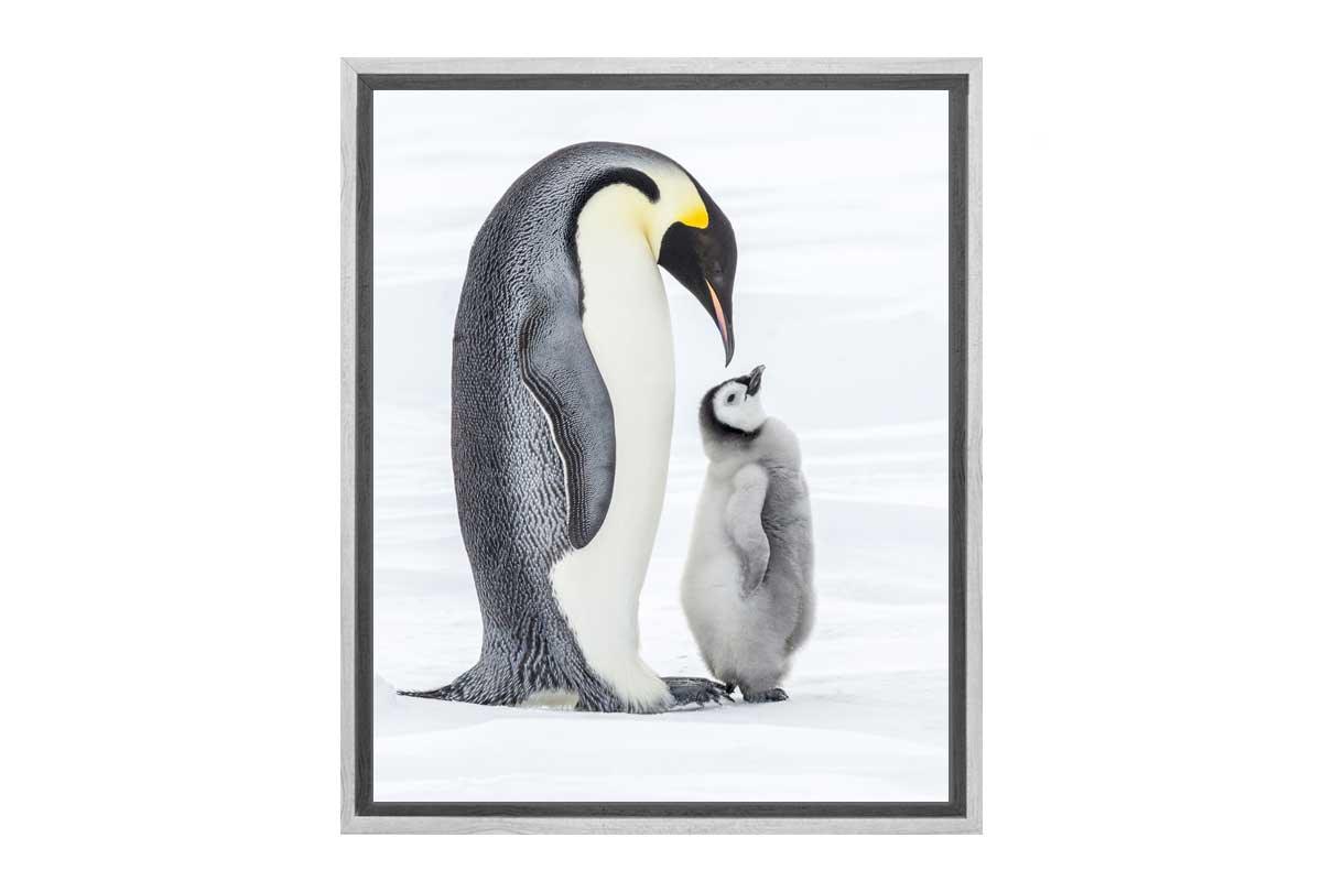 Penguin With Chick Watercolour | Canvas Wall Art Print - Final Touch Decor