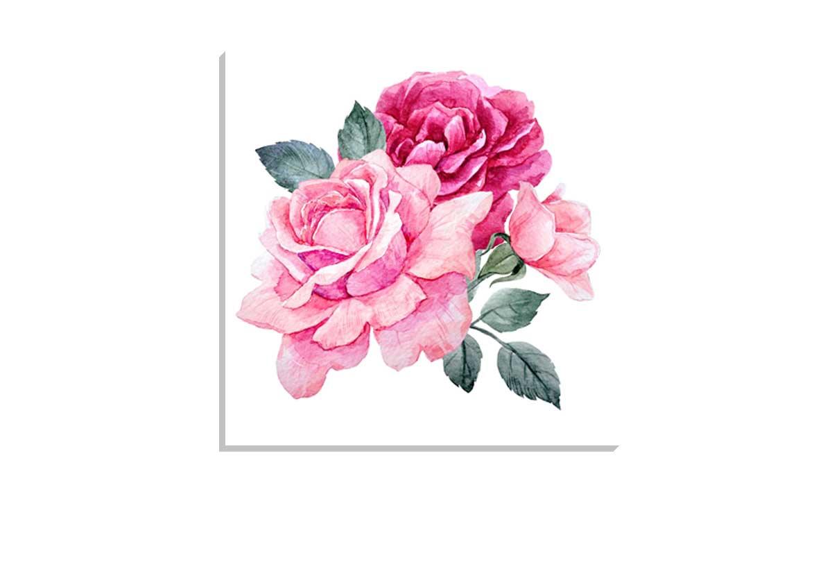 Pink Roses Watercolour | Canvas Wall Art Print - Final Touch Decor