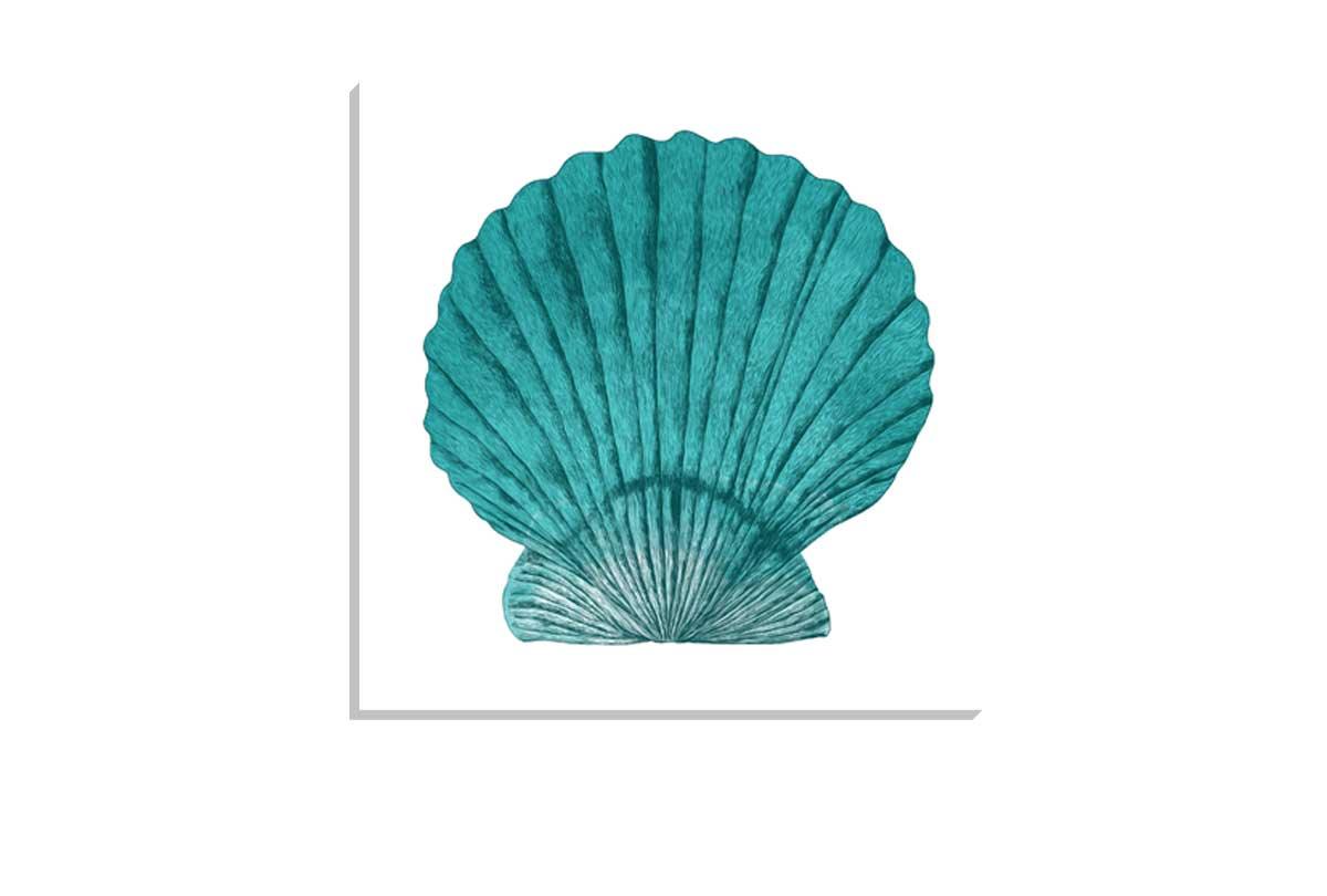 Turquoise Sea Shell | Shell Wall Art Print - Final Touch Decor