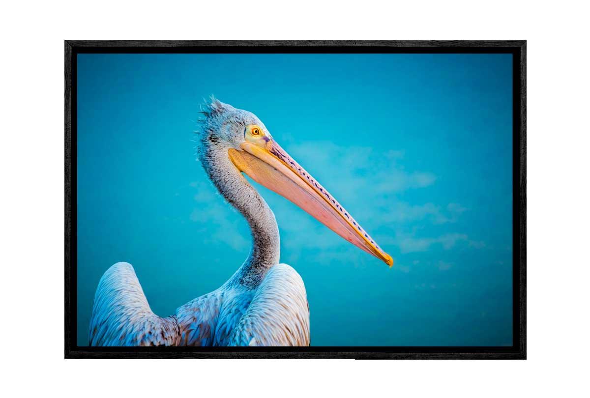Pelican With Blue Background | Wall Art Print - Final Touch Decor