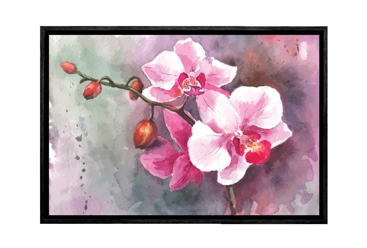 Pink Orchid Watercolour | Flower Wall Art Print - Final Touch Decor