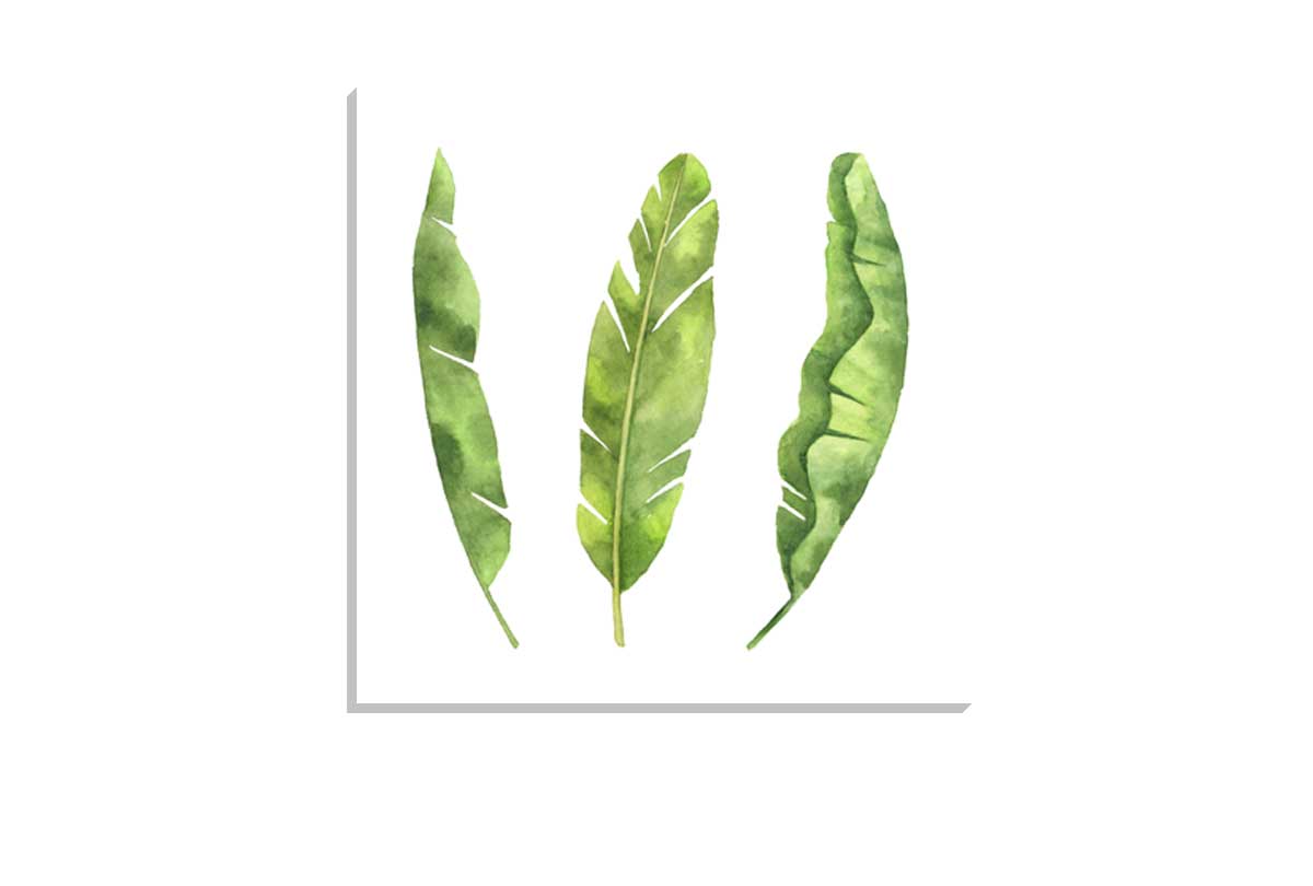 Banana Leaves | Tropical Leaf Wall Art - Final Touch Decor