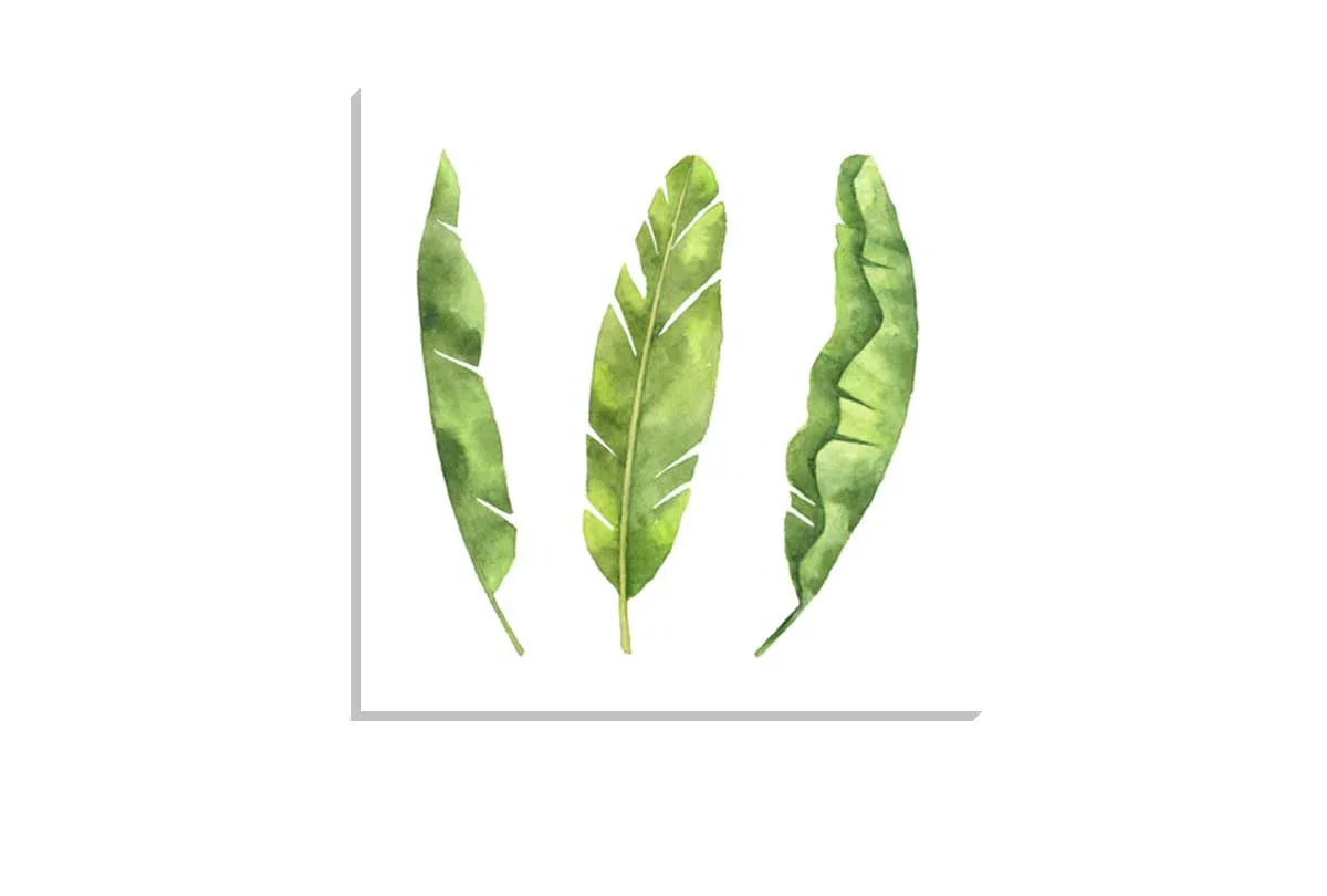 Banana Leaves | Tropical Leaf Wall Art - Final Touch Decor