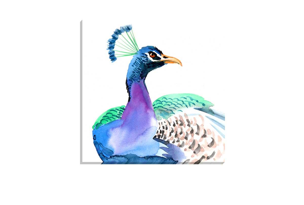 Watercolour Peacock | Bird Wall Art Print - Final Touch Decor