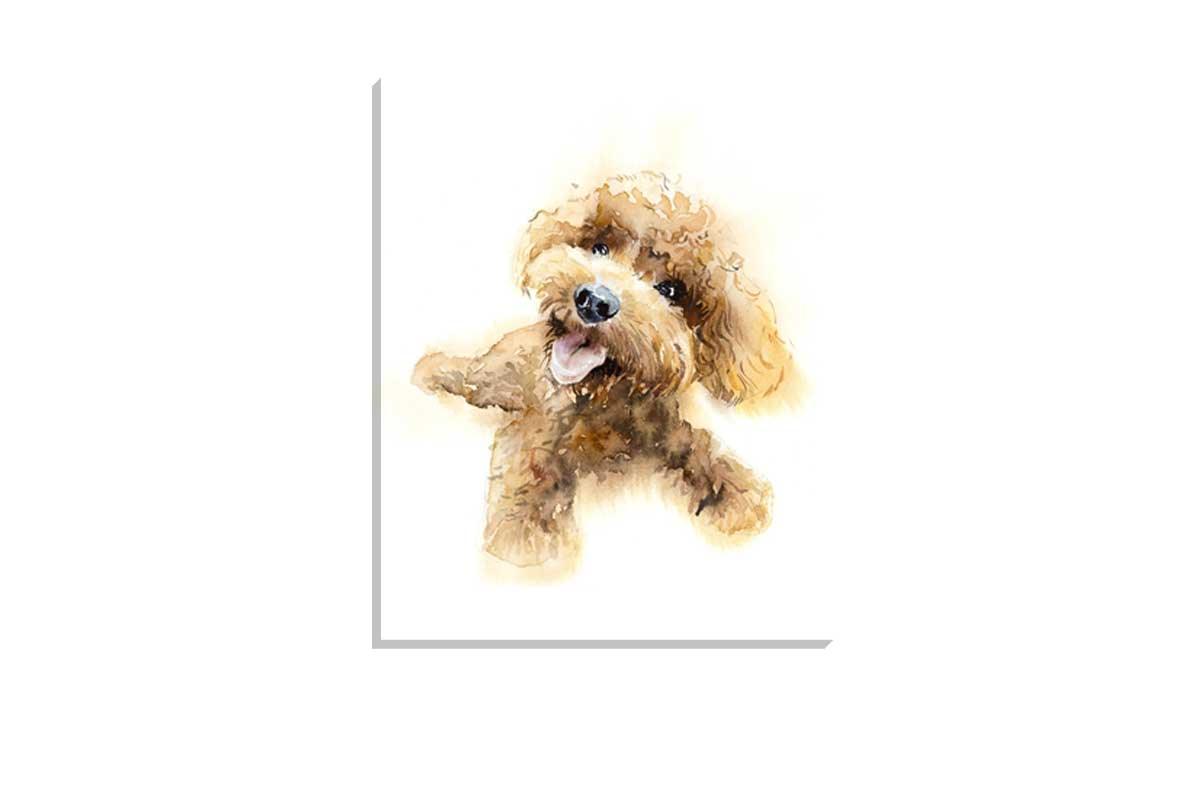 Brown Poodle Portrait | Canvas Wall Art Print - Final Touch Decor