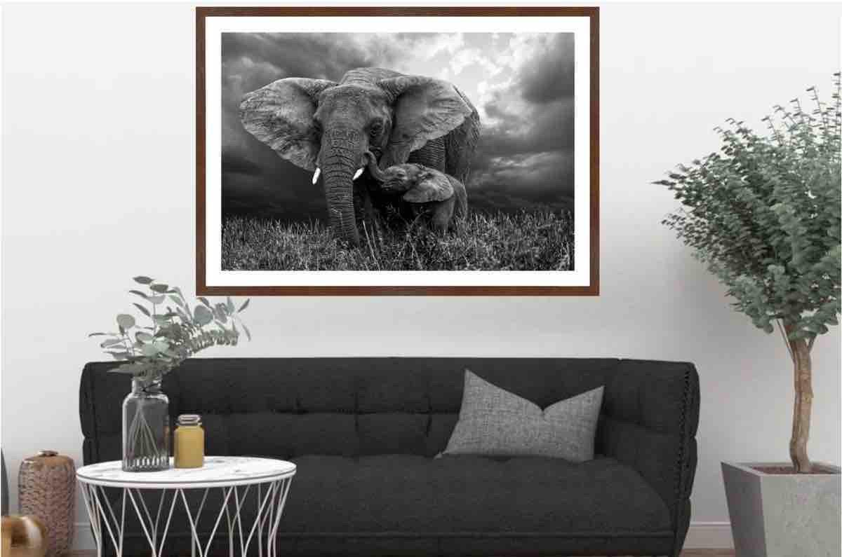 Elephant 1 | Wall Art Print - Final Touch Decor