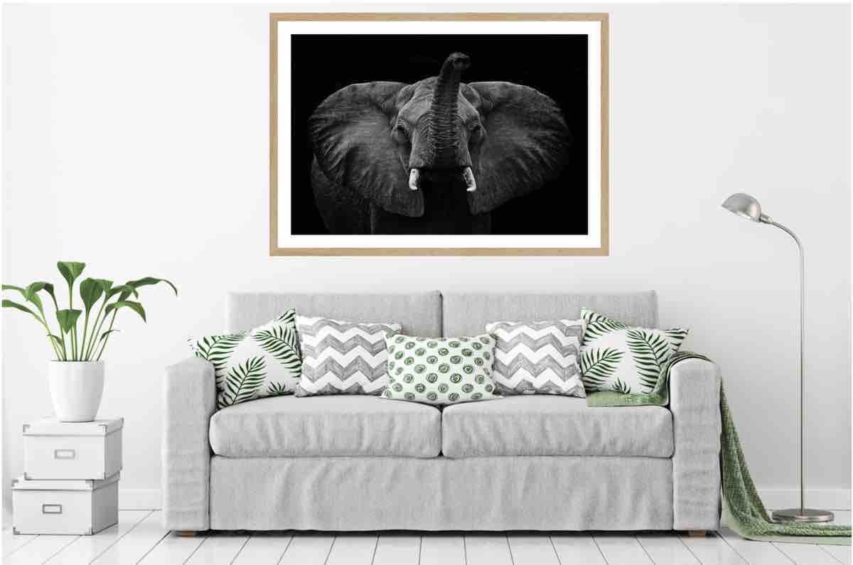 Elephant 2 | Wall Art Print - Final Touch Decor
