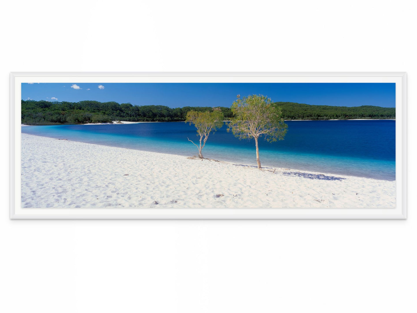 Lake McKenzie K'gari (Fraser Island) Queensland Wall Art Print