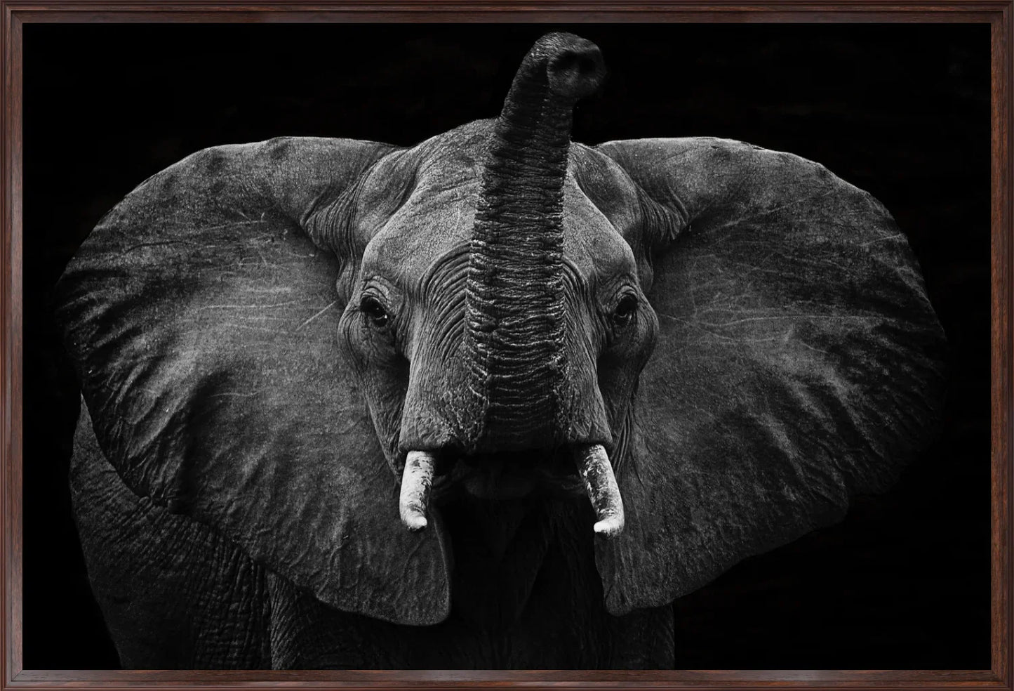 Elephant 2 | Wall Art Print - Final Touch Decor