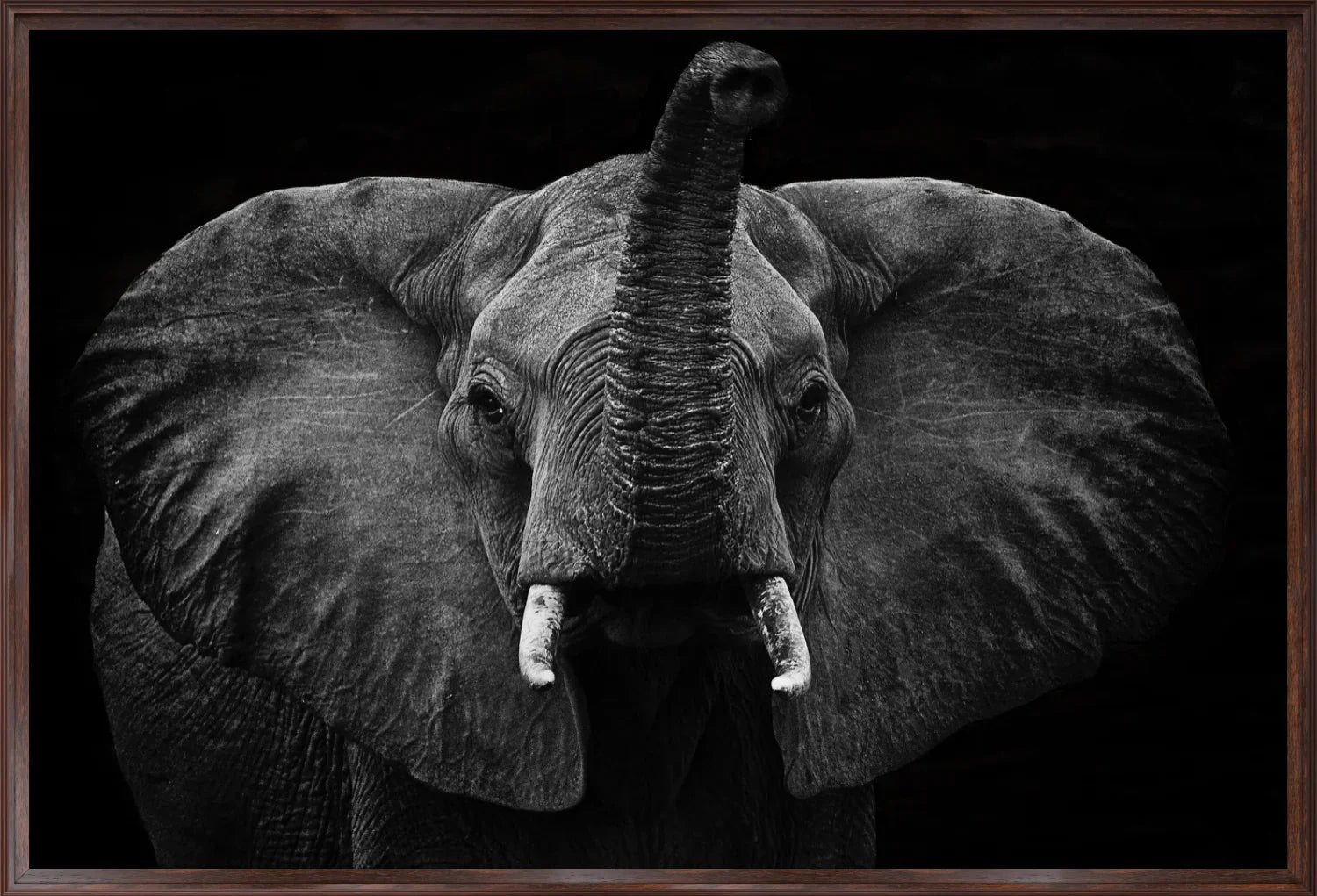 Elephant 2 | Wall Art Print - Final Touch Decor