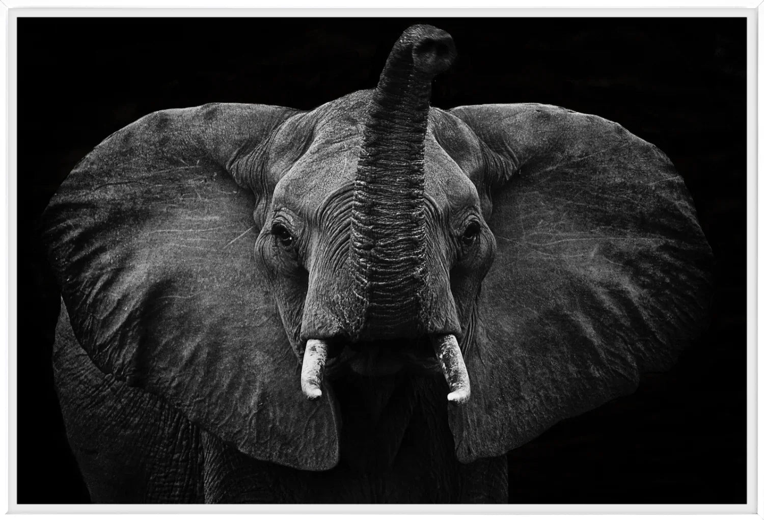 Elephant 2 | Wall Art Print - Final Touch Decor