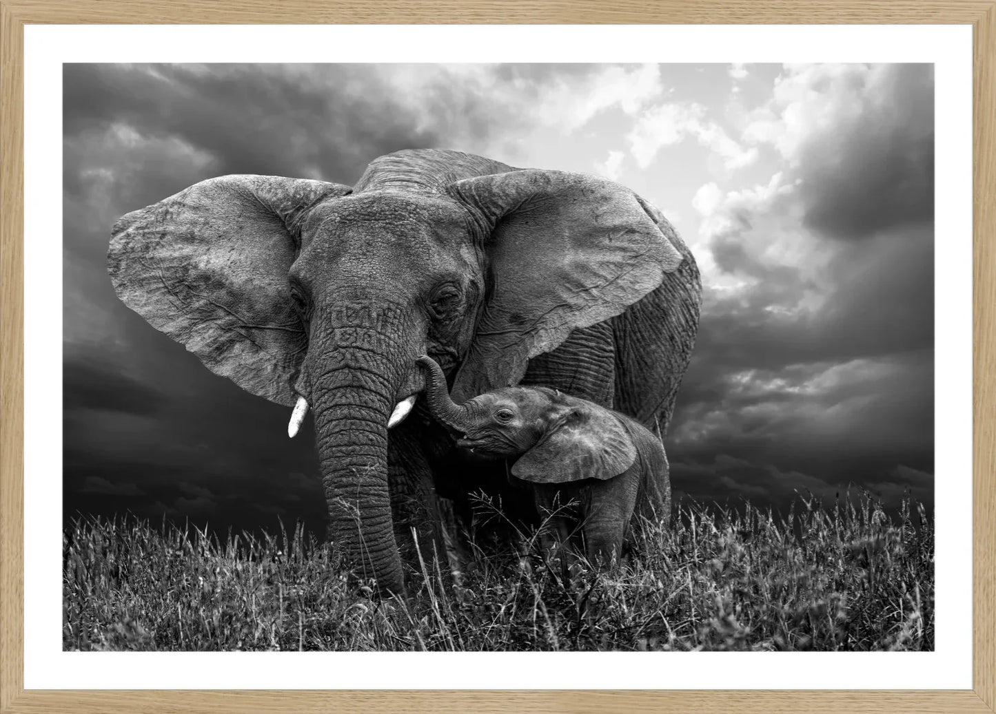 Elephant 1 | Wall Art Print - Final Touch Decor