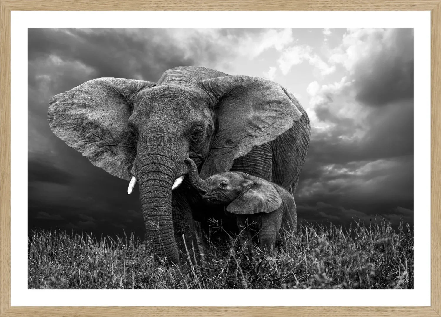 Elephant 1 | Wall Art Print - Final Touch Decor
