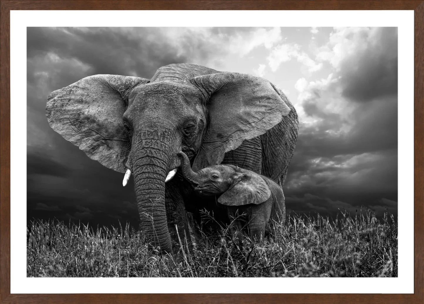 Elephant 1 | Wall Art Print - Final Touch Decor