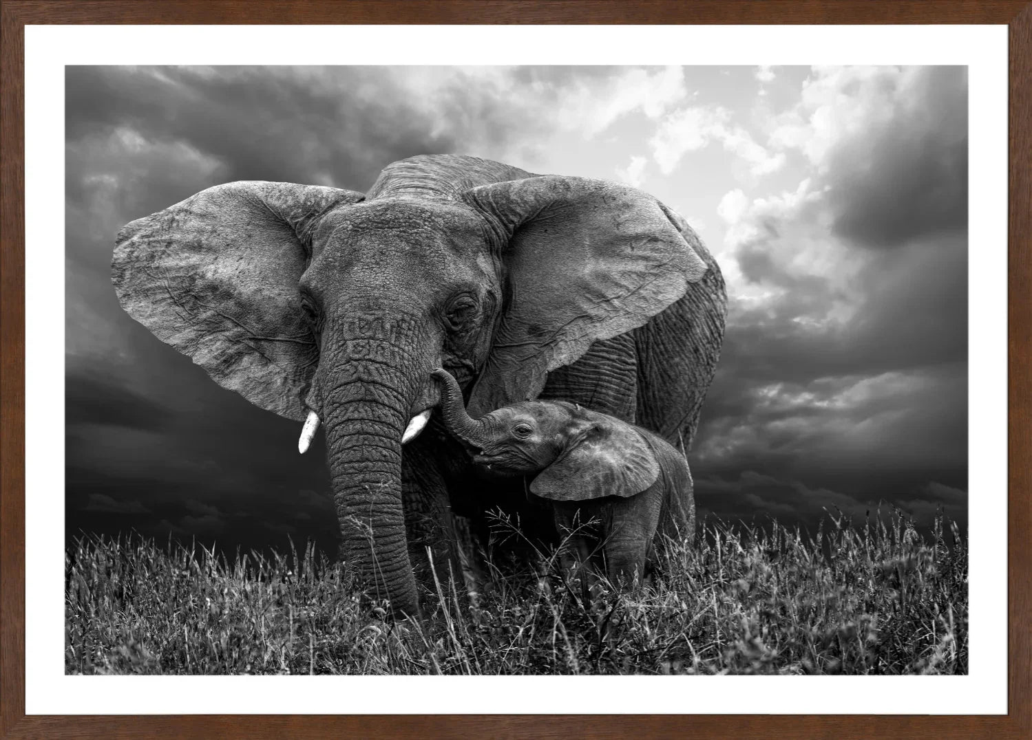 Elephant 1 | Wall Art Print - Final Touch Decor