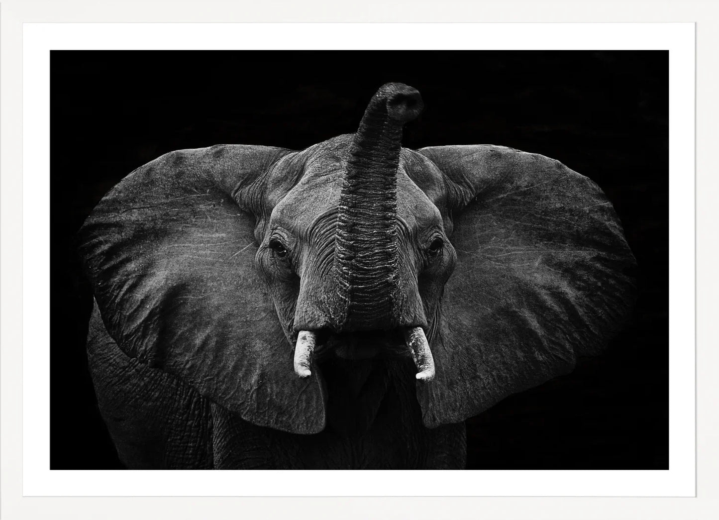 Elephant 2 | Wall Art Print - Final Touch Decor