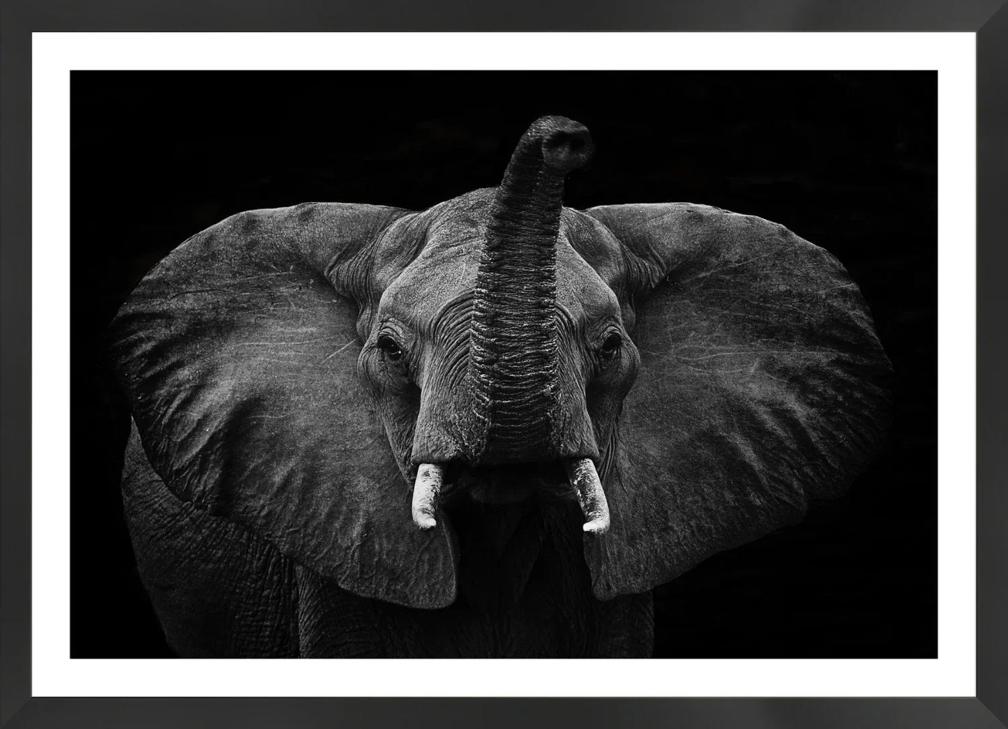 Elephant 2 | Wall Art Print - Final Touch Decor