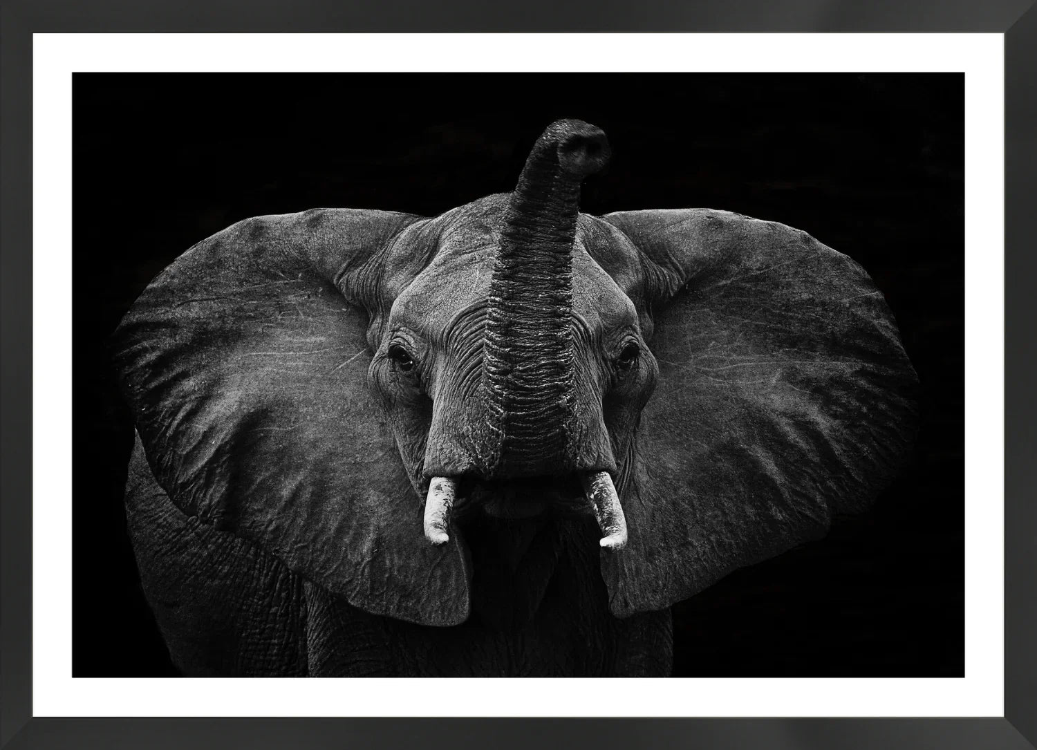 Elephant 2 | Wall Art Print - Final Touch Decor