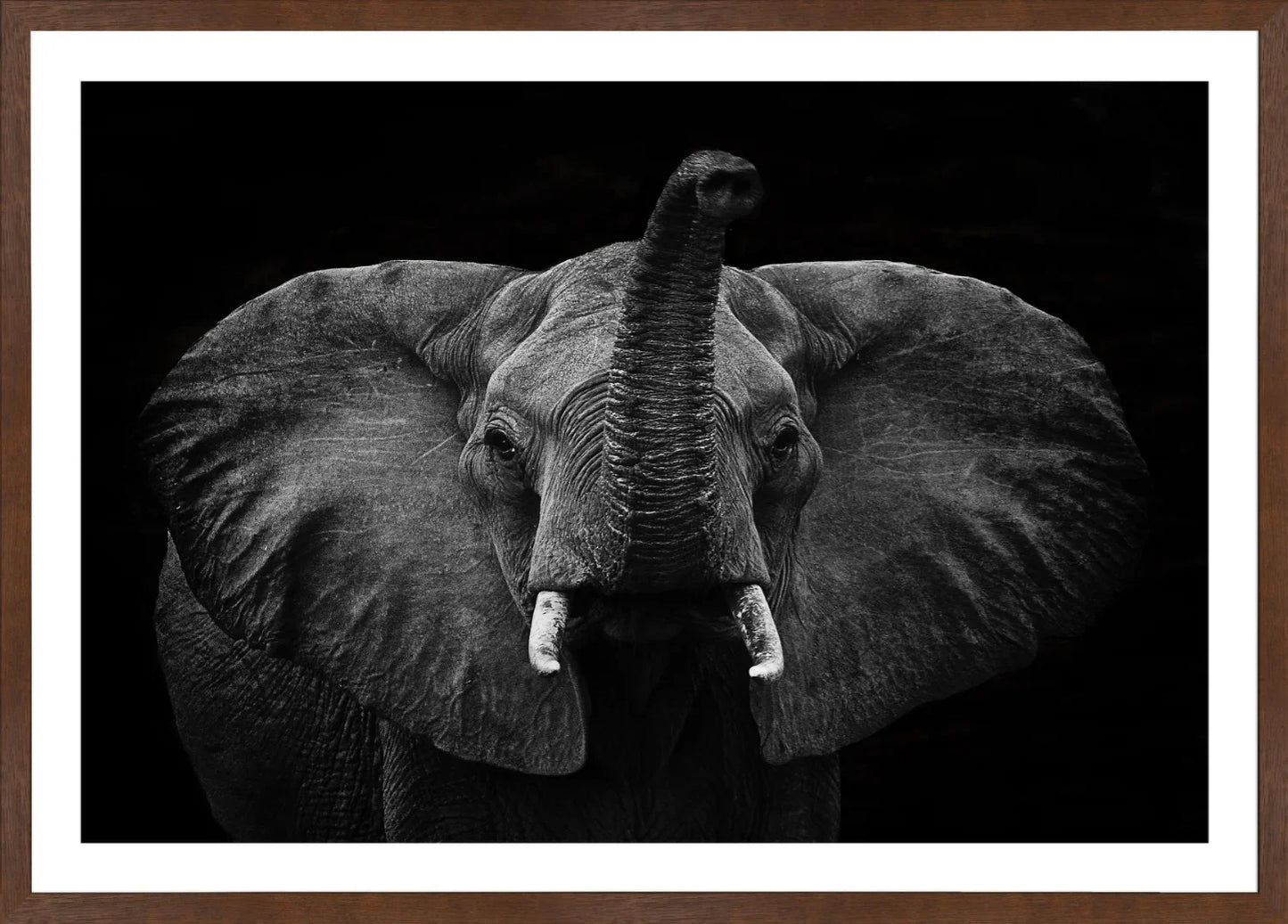 Elephant 2 | Wall Art Print - Final Touch Decor