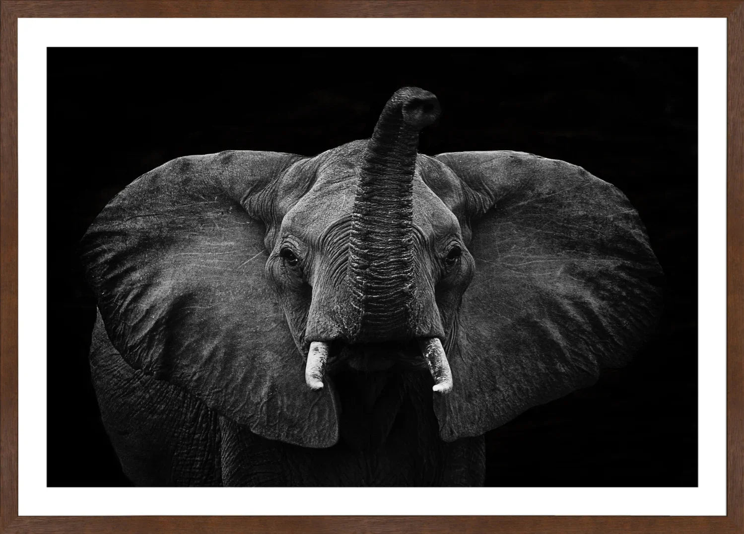 Elephant 2 | Wall Art Print - Final Touch Decor