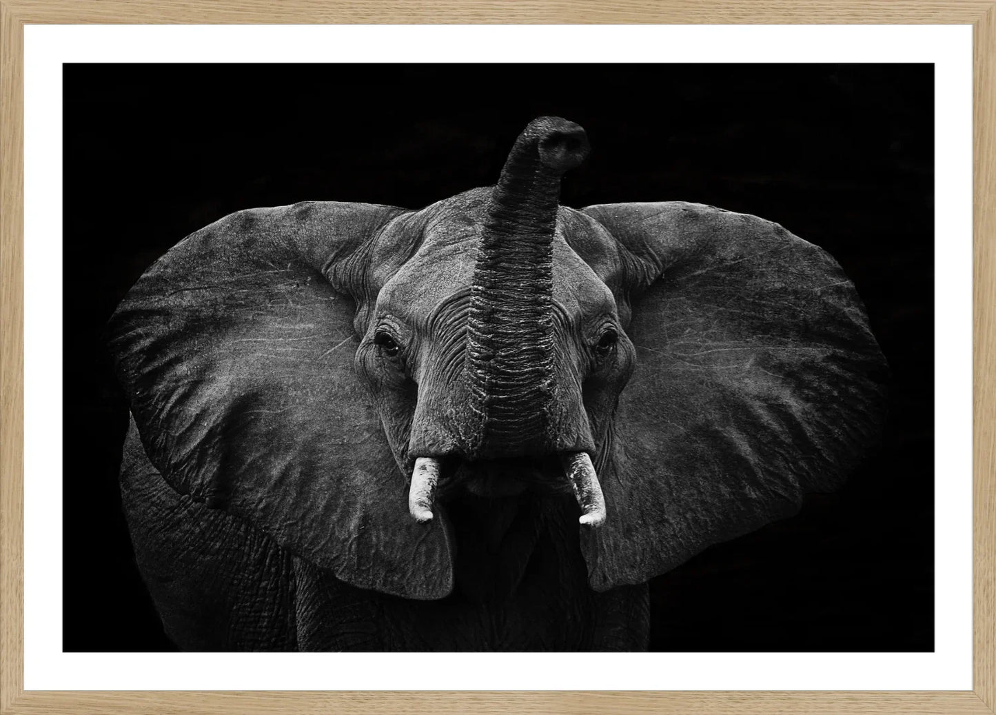 Elephant 2 | Wall Art Print - Final Touch Decor