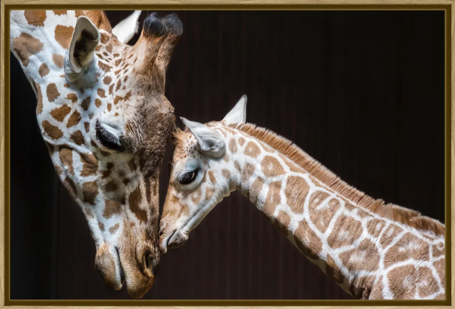 Giraffe 1 | Wall Art Print - Final Touch Decor
