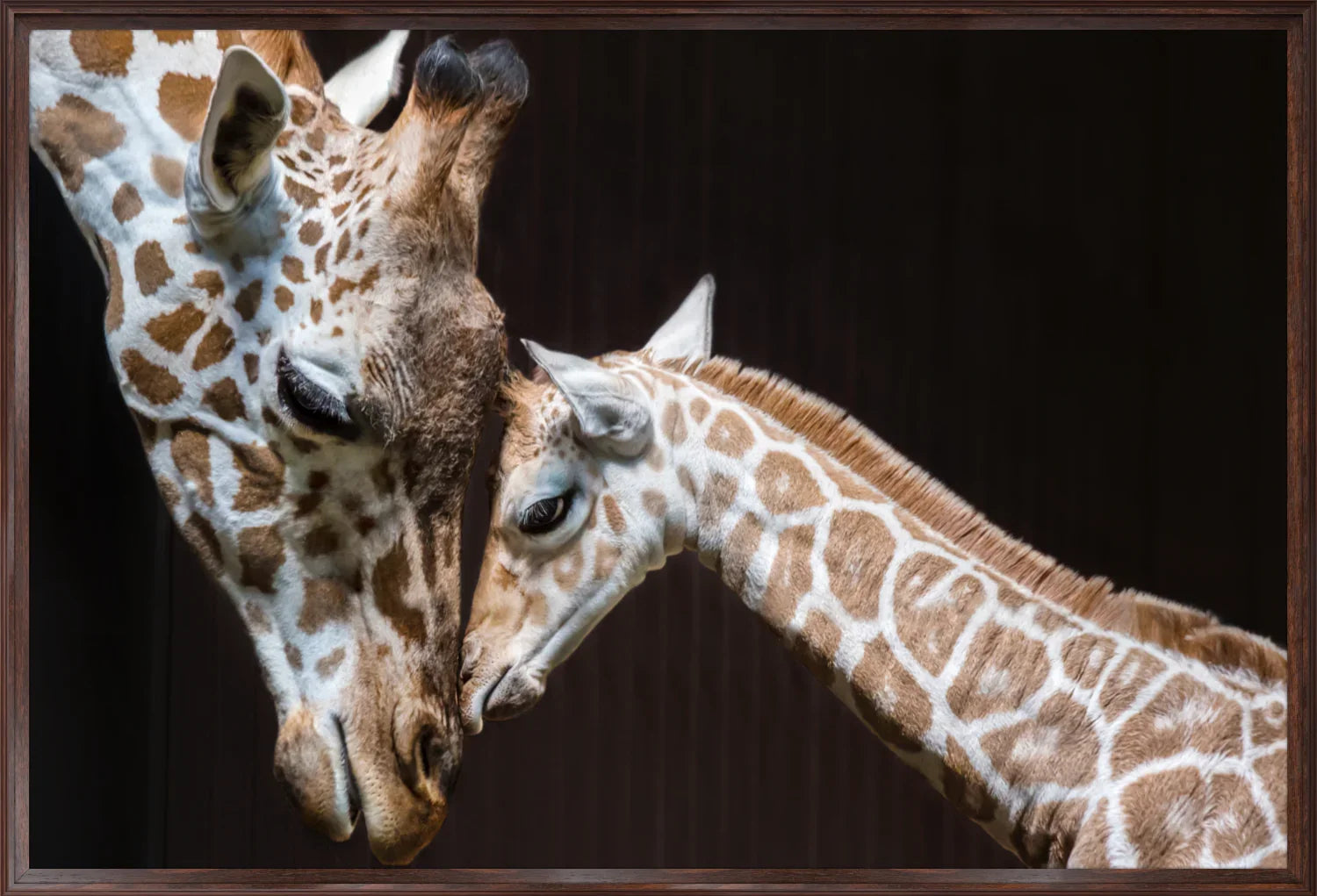 Giraffe 1 | Wall Art Print - Final Touch Decor