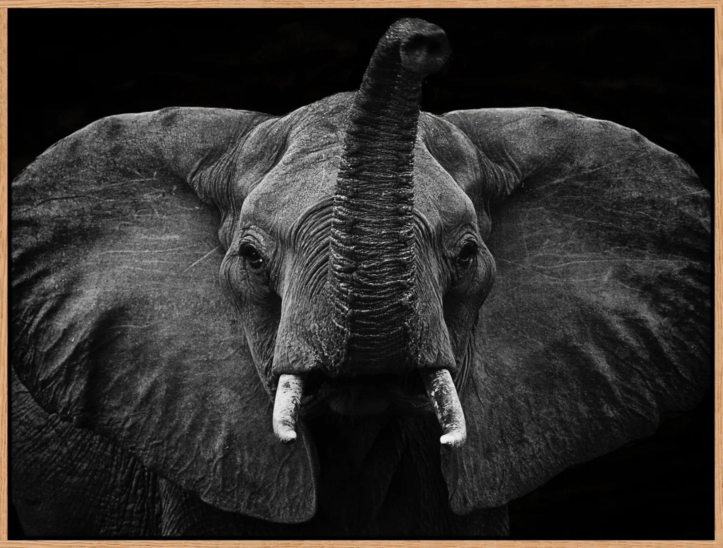 Elephant 2 | Wall Art Print - Final Touch Decor