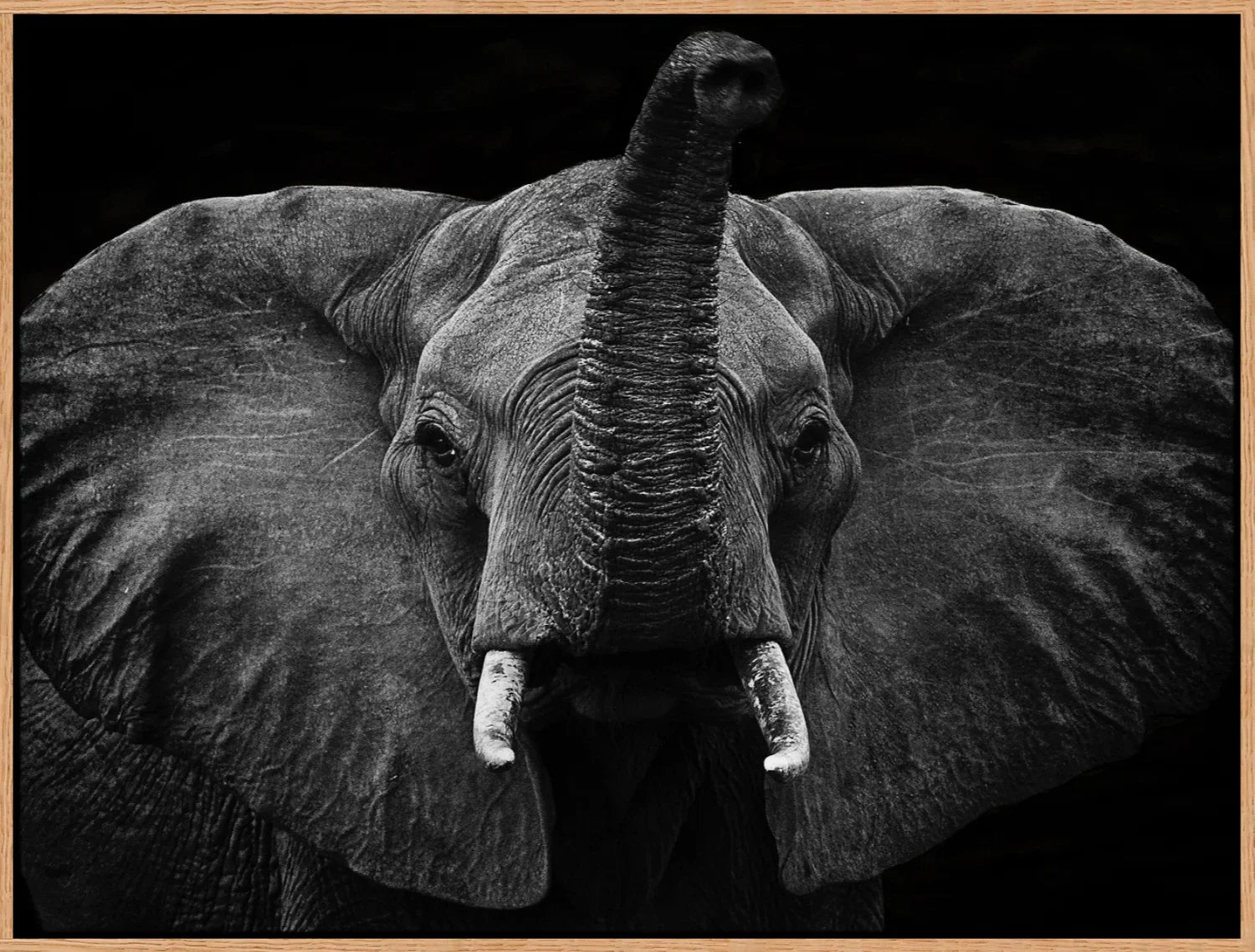 Elephant 2 | Wall Art Print - Final Touch Decor