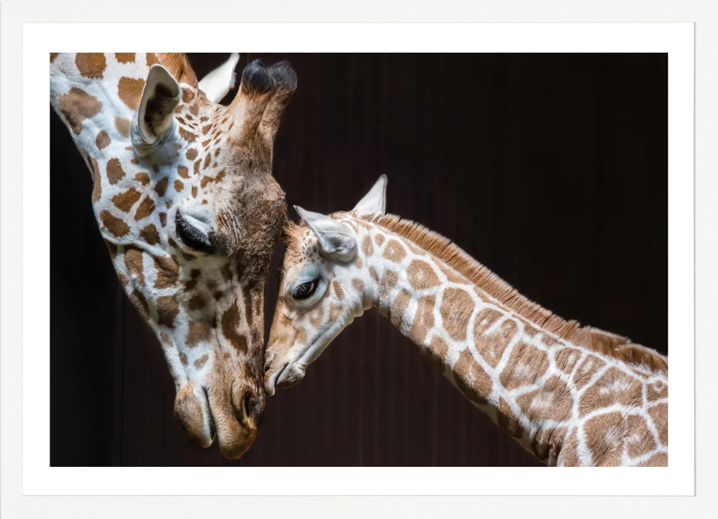 Giraffe 1 | Wall Art Print - Final Touch Decor