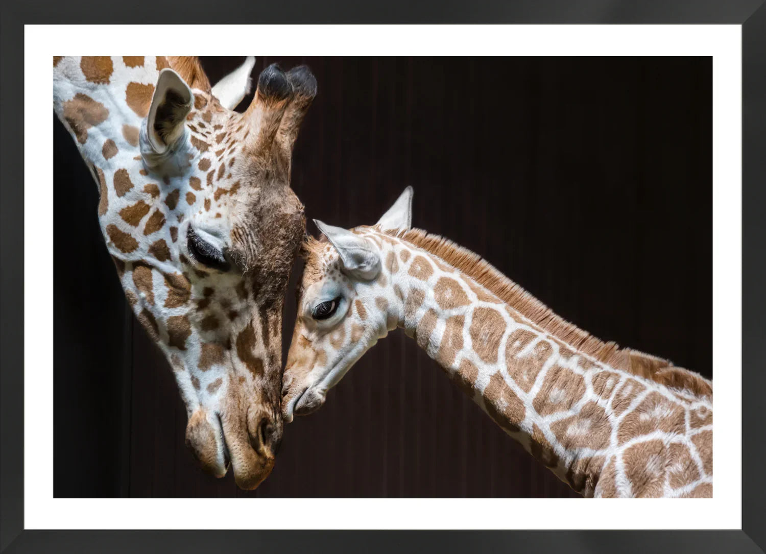 Giraffe 1 | Wall Art Print - Final Touch Decor