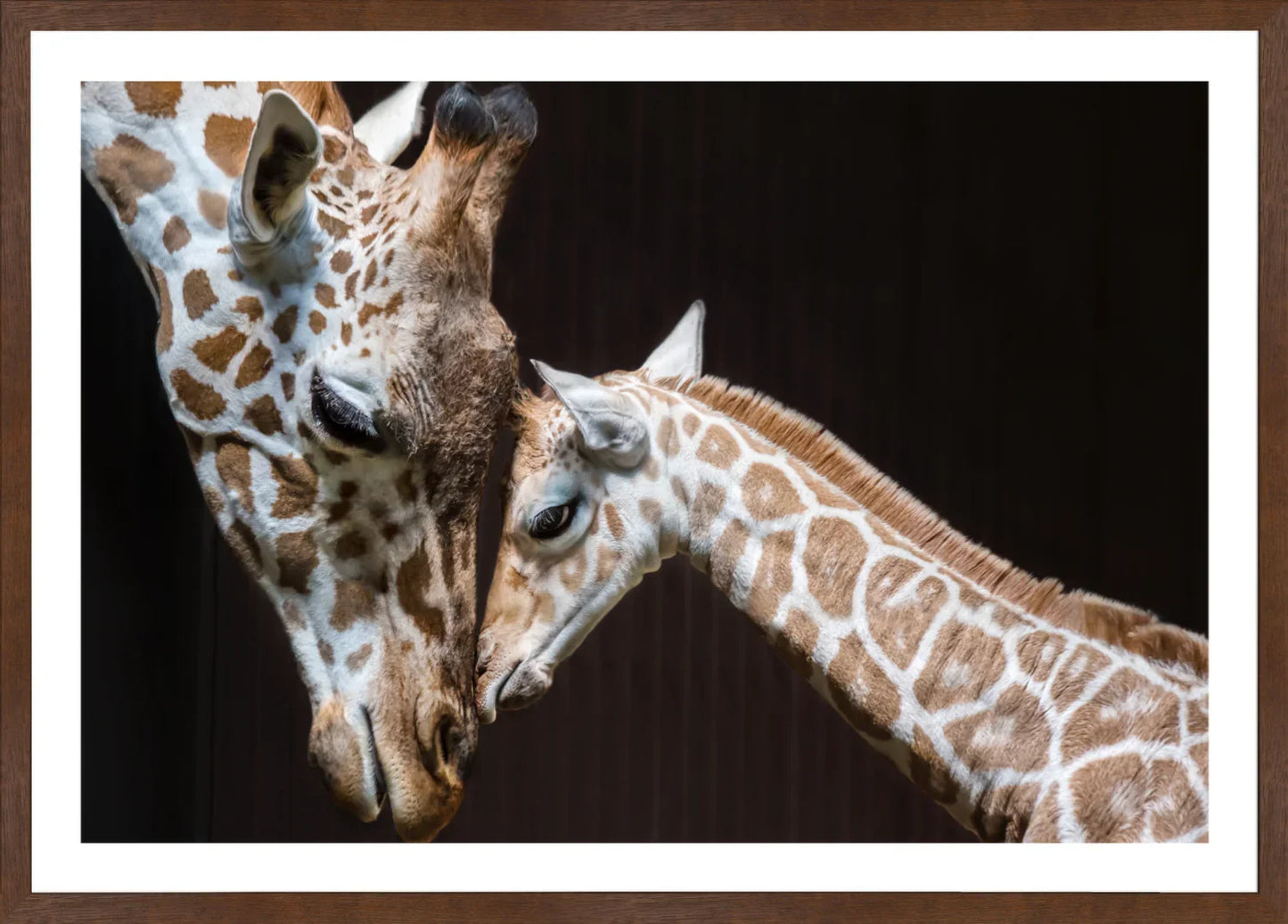 Giraffe 1 | Wall Art Print - Final Touch Decor