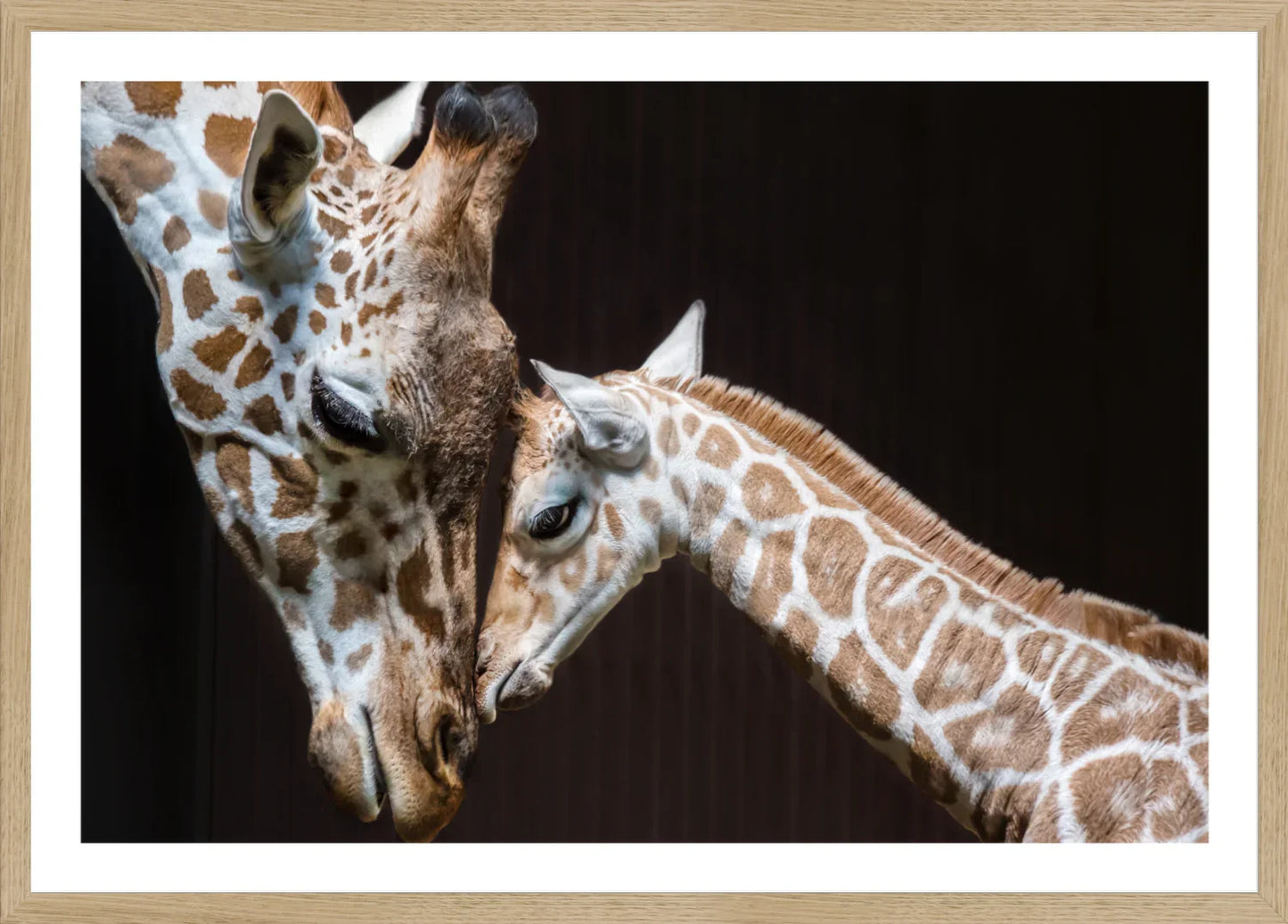 Giraffe 1 | Wall Art Print - Final Touch Decor