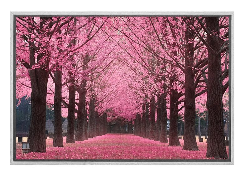Pink Avenue | Canvas Art Print - Final Touch Decor