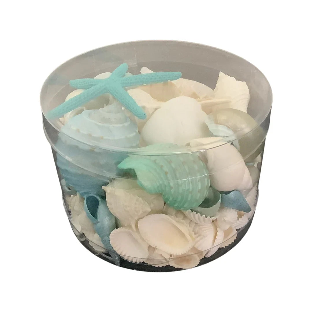 Premium Mixed Sea Shell Pack Aqua - Final Touch Decor