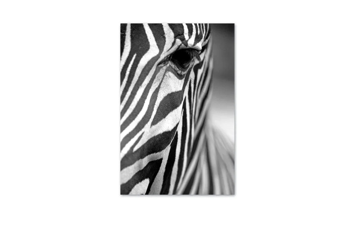 Zebra | Canvas Art Print - Final Touch Decor