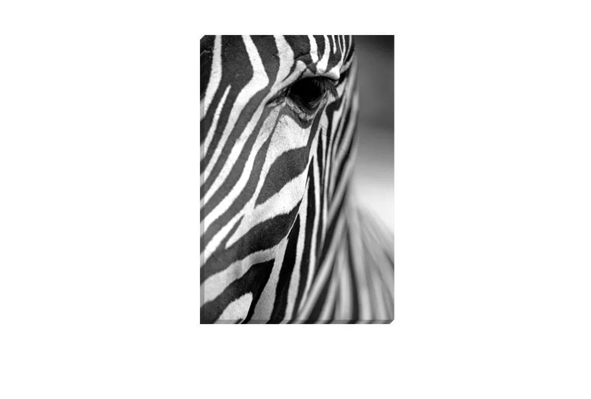 Zebra | Canvas Art Print - Final Touch Decor