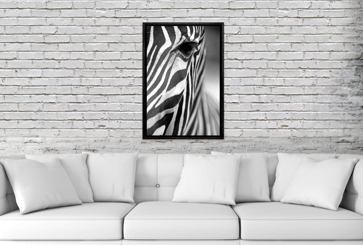 Zebra | Canvas Art Print - Final Touch Decor