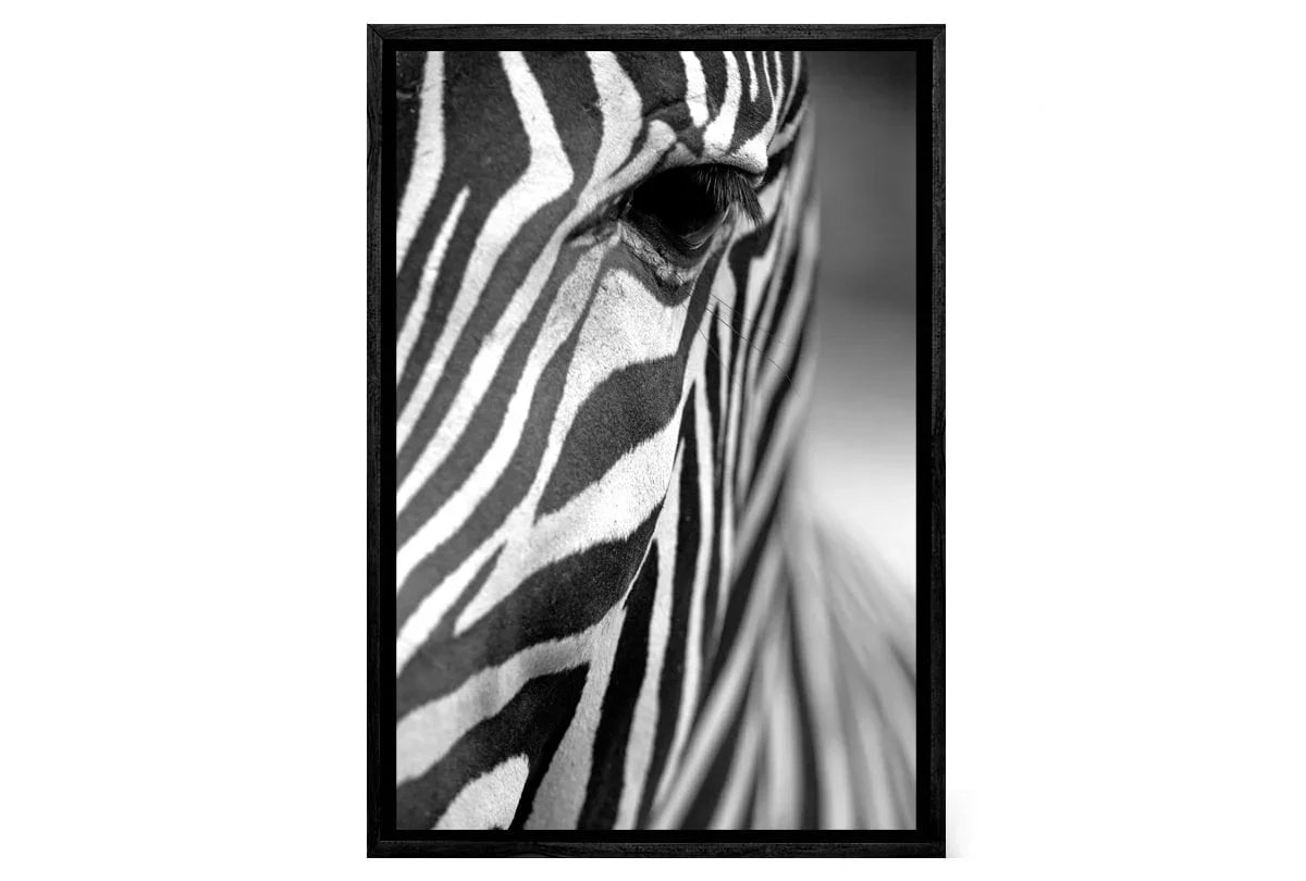 Zebra | Canvas Art Print - Final Touch Decor