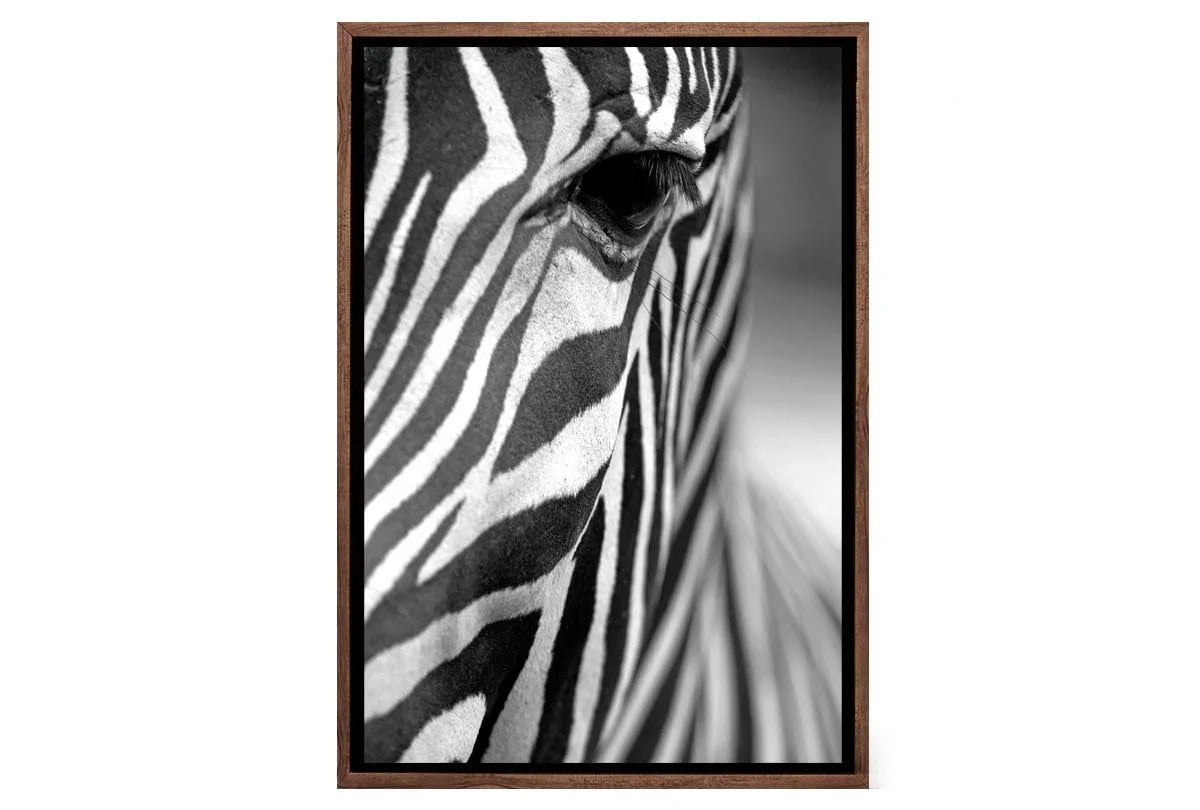 Zebra | Canvas Art Print - Final Touch Decor
