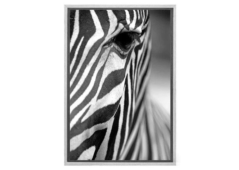 Zebra | Canvas Art Print - Final Touch Decor