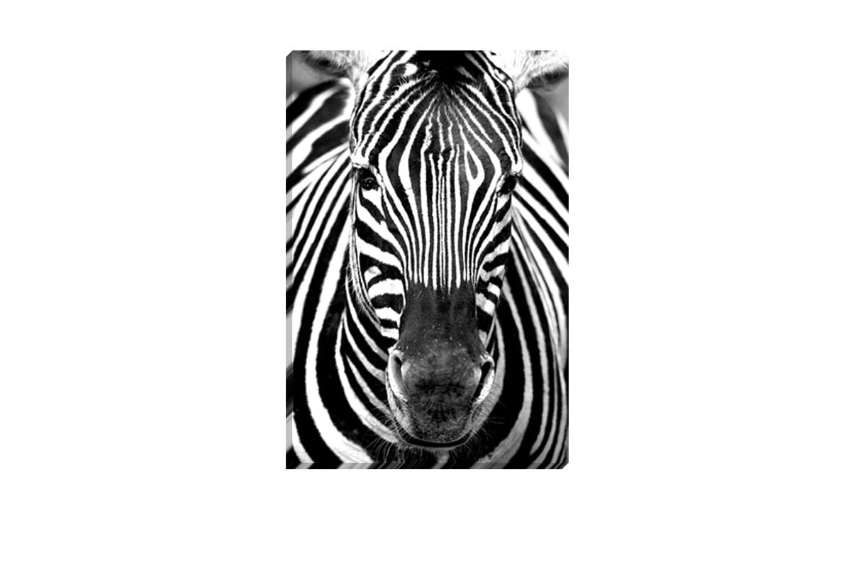 Zebra 2 | Canvas Art Print - Final Touch Decor