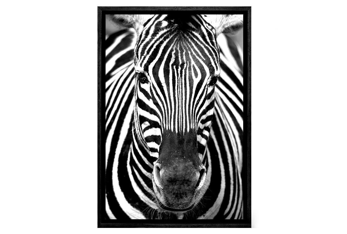 Zebra 2 | Canvas Art Print - Final Touch Decor