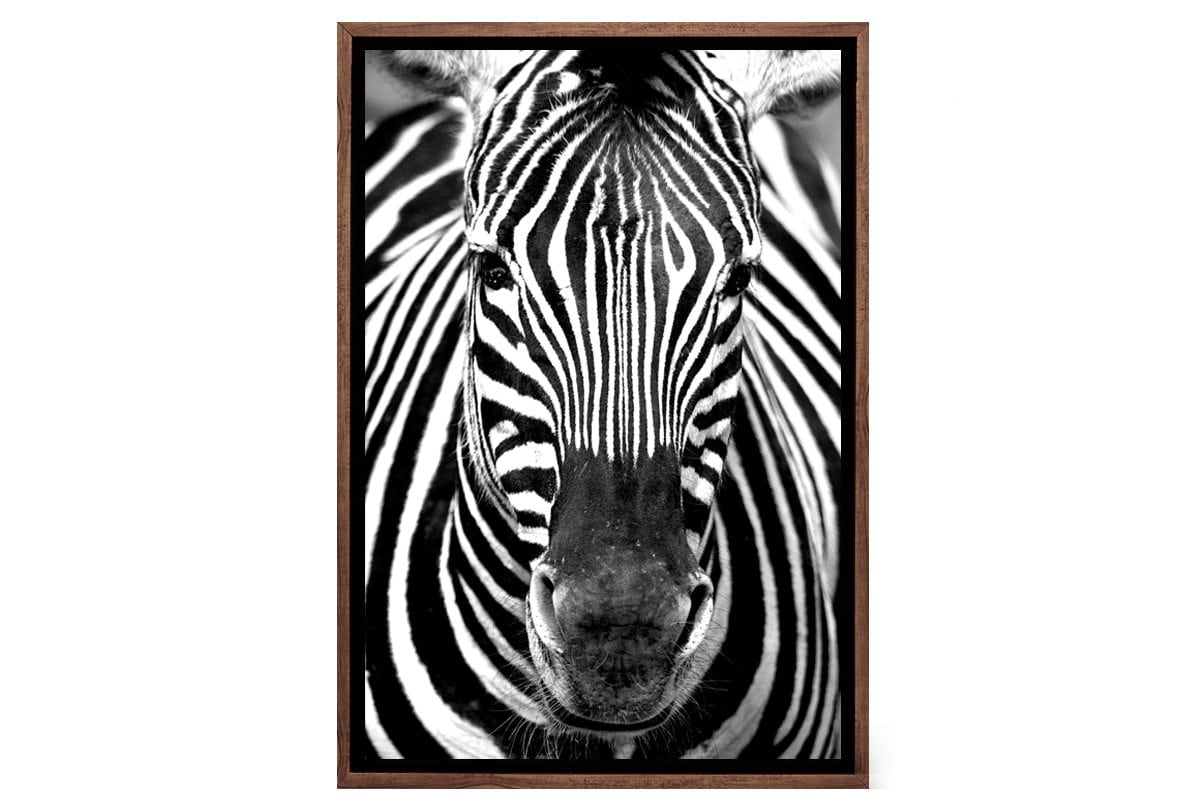 Zebra 2 | Canvas Art Print - Final Touch Decor