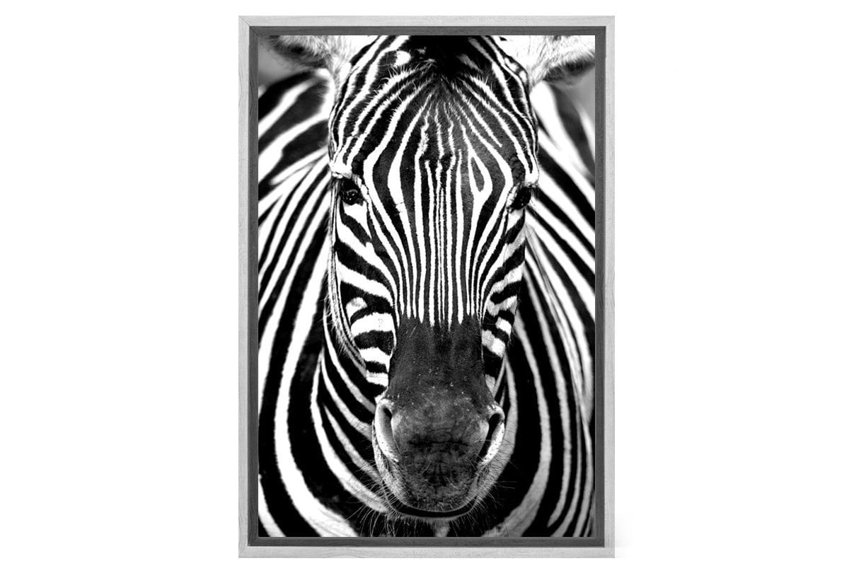 Zebra 2 | Canvas Art Print - Final Touch Decor