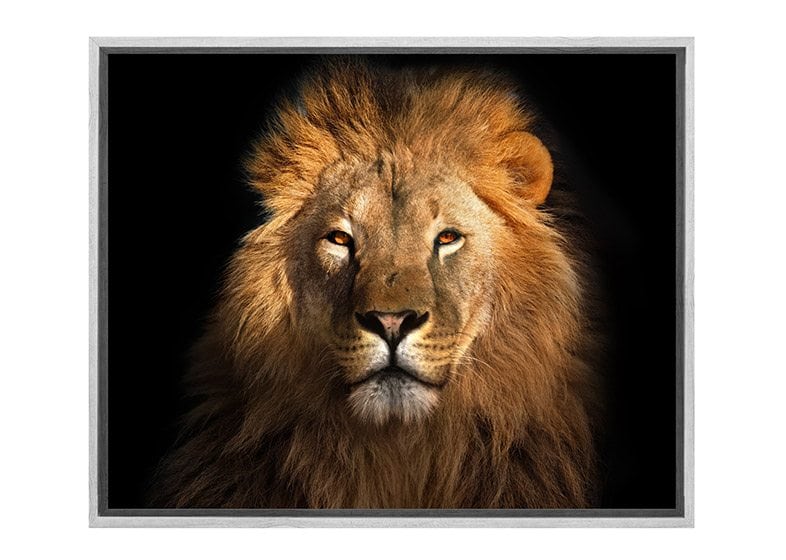 Lion 2 | Animal Canvas Wall Art Print - Final Touch Decor